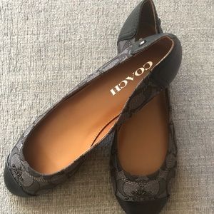 Coach signature flat